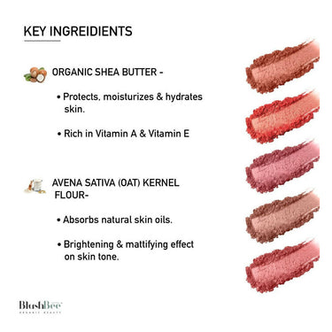 https://cdn.shopify.com/s/files/1/1857/6931/products/1yGOkOnPDQ.jpg?v=1685358859